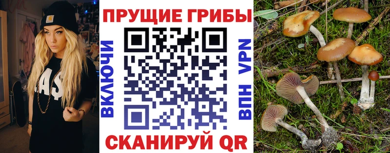 Галлюциногенные грибы Psilocybine cubensis Купить закладки Мыски